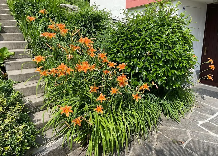 Casa Colombina Duplex By Fewotessin * Gordola